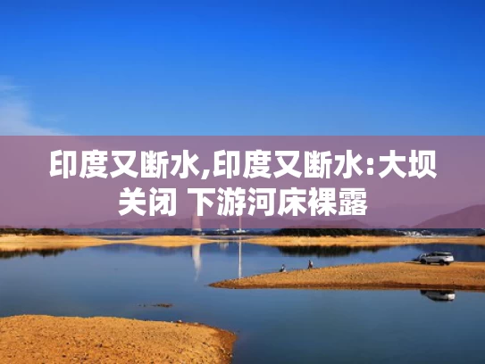 澳门彩资料大全书大全,曝大S子女未出席汪小菲婚礼