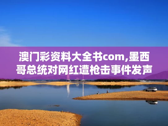 澳门彩资料大全书com,墨西哥总统对网红遭枪击事件发声