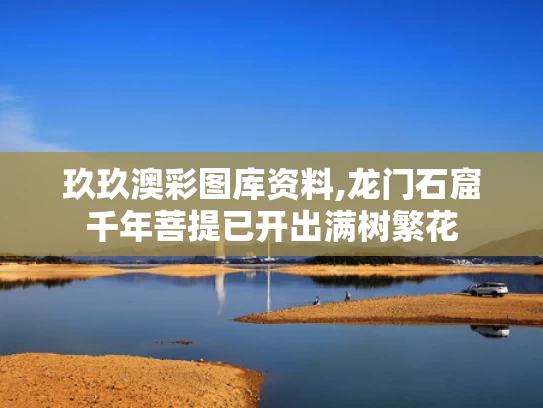 玖玖澳彩图库资料,龙门石窟千年菩提已开出满树繁花