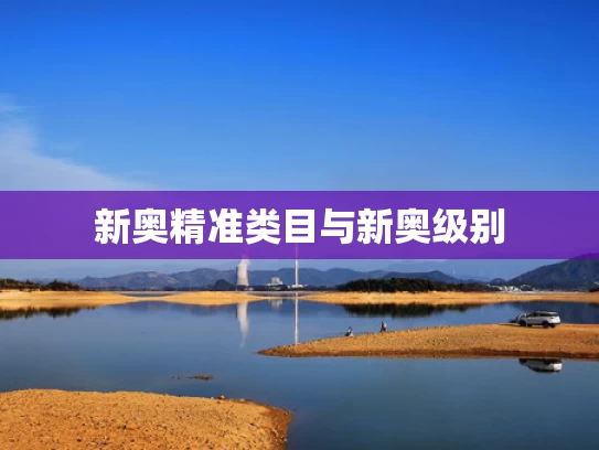 新奥精准类目与新奥级别