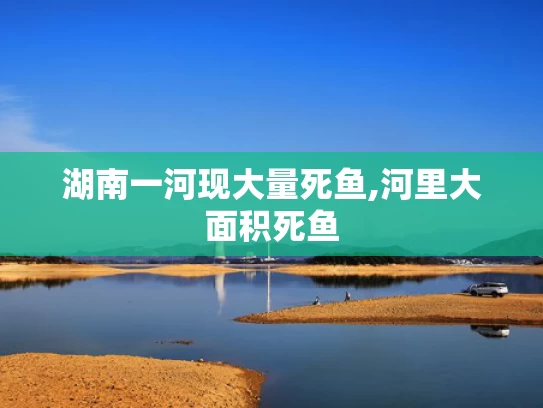 澳彩资料免费长期公开凤凰网,汪小菲马筱梅穿中式婚服热情打招呼