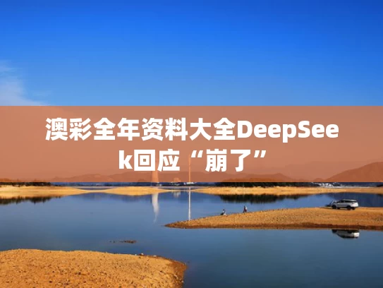 2020年免费资料大全集,赵樱子戛纳礼服脏了发文求助