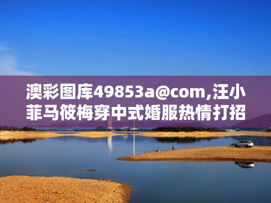 澳彩图库49853a@com,汪小菲马筱梅穿中式婚服热情打招呼