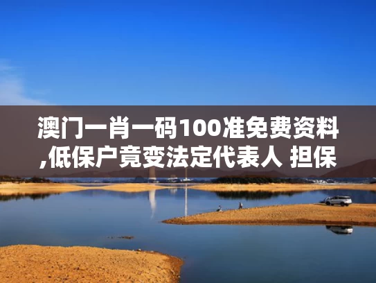 澳门一肖一码100准免费资料,低保户竟变法定代表人 担保千万贷款