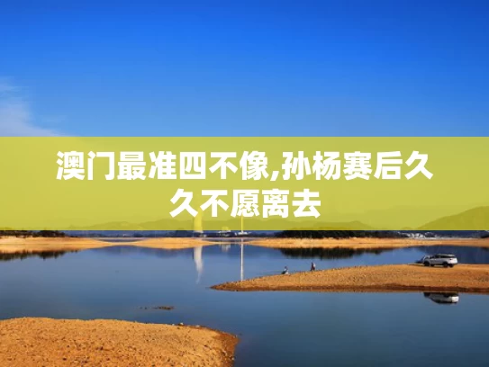 澳门最准四不像,孙杨赛后久久不愿离去
