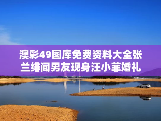 澳彩49图库免费资料大全	张兰绯闻男友现身汪小菲婚礼