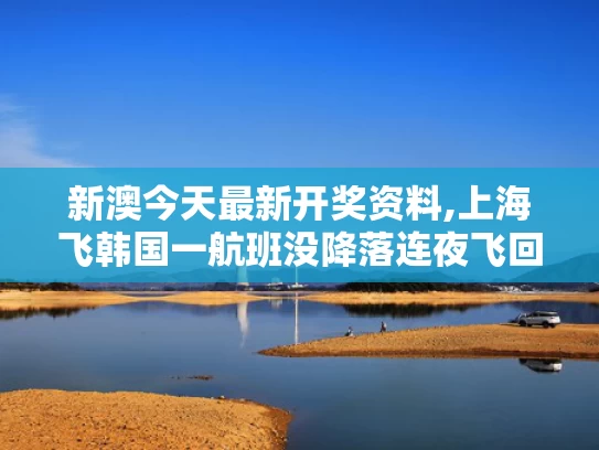 新澳今天最新开奖资料,上海飞韩国一航班没降落连夜飞回国