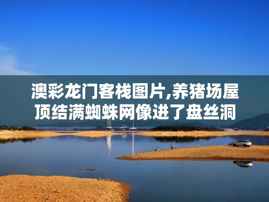 澳彩龙门客栈图片,养猪场屋顶结满蜘蛛网像进了盘丝洞
