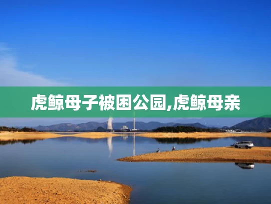 澳彩资料库图片大全	印度向边境地区“增兵”