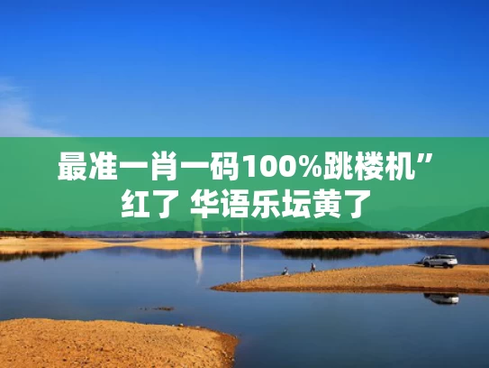 最准一肖一码100%跳楼机”红了 华语乐坛黄了