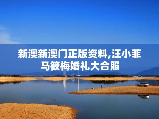 新澳新澳门正版资料,汪小菲马筱梅婚礼大合照