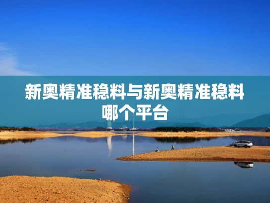 新奥精准稳料与新奥精准稳料哪个平台