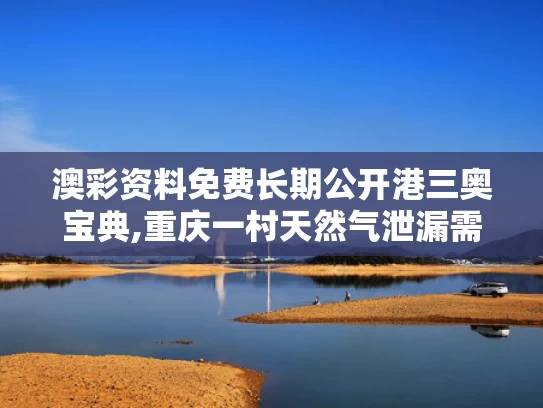澳彩资料免费长期公开港三奥宝典,重庆一村天然气泄漏需全镇转移？假