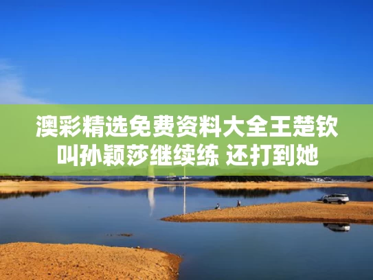 澳彩精选免费资料大全	王楚钦叫孙颖莎继续练 还打到她