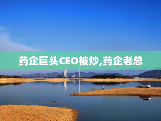 新澳今晚开奖结果查询,黄子韬卫生巾总投资超2亿