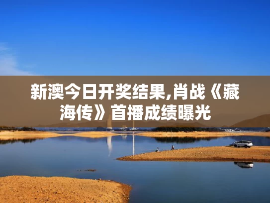新澳今日开奖结果,肖战《藏海传》首播成绩曝光