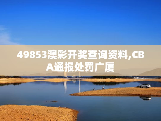 49853澳彩开奖查询资料,CBA通报处罚广厦