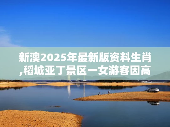 新澳2025年最新版资料生肖,稻城亚丁景区一女游客因高反去世