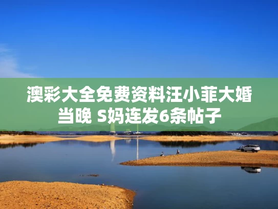 澳彩大全免费资料	汪小菲大婚当晚 S妈连发6条帖子