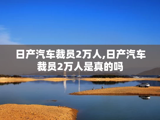 澳门龙门客栈图库,特朗普修令 将小额包裹关税降至54%
