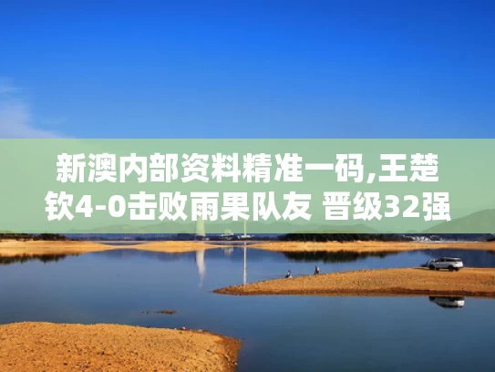 新澳内部资料精准一码,王楚钦4-0击败雨果队友 晋级32强