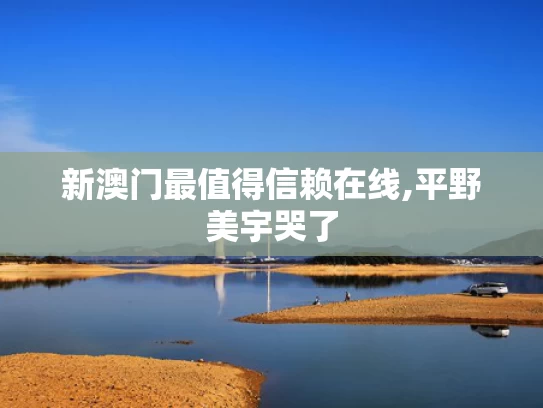 新澳门最值得信赖在线,平野美宇哭了
