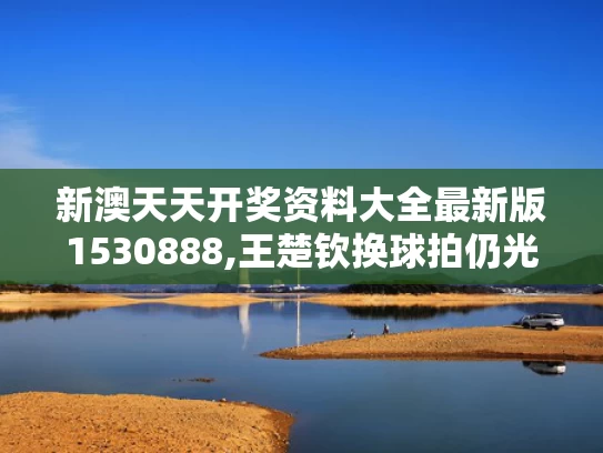 新澳天天开奖资料大全最新版1530888,王楚钦换球拍仍光速赢球