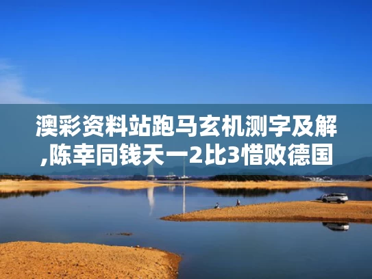 澳彩资料站跑马玄机测字及解,陈幸同钱天一2比3惜败德国组合