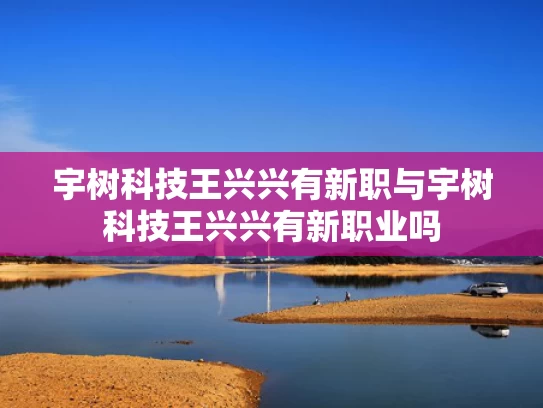 宇树科技王兴兴有新职与宇树科技王兴兴有新职业吗