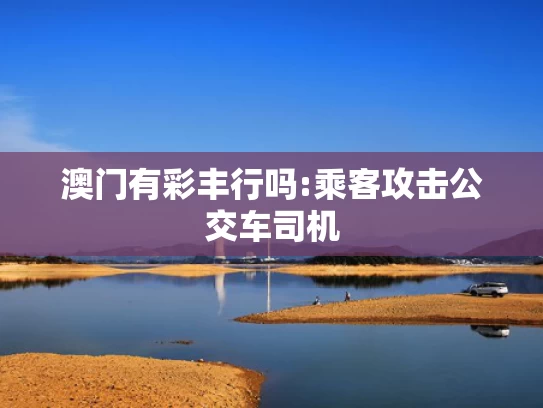 2025澳门天天开好彩大全免费,骑行热依旧 上海凤凰怎么不行了