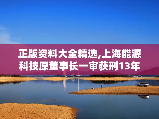 正版资料大全精选,上海能源科技原董事长一审获刑13年