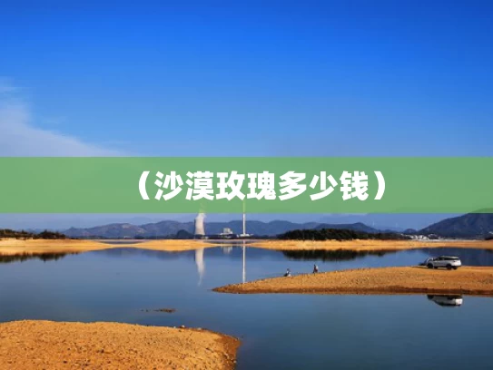 新奥精准免费提供港澳彩,女子白宫见特朗普 因一脸嫌弃而走红