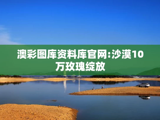 新澳2025年最新版资料4O期资料,小孩用自喷漆将小区多辆车车牌喷黑