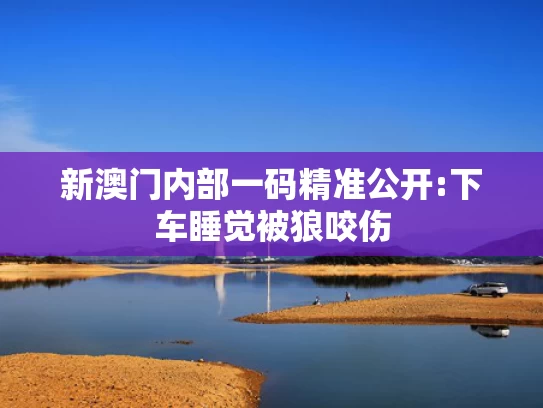 澳彩资料网一句幺机,雷军：别指望自研芯片上来就碾压苹果