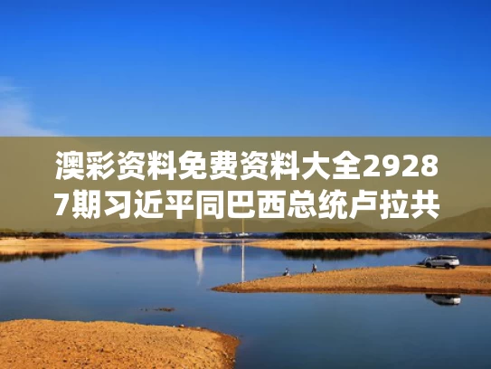 澳彩资料免费资料大全29287期	习近平同巴西总统卢拉共同会见记者