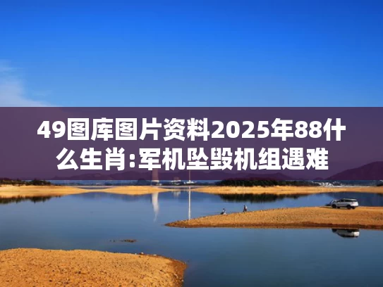 澳彩资料站885122.com,孙颖莎王楚钦打到申裕斌连摇头