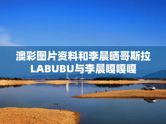 澳彩图片资料	和李晨晒哥斯拉LABUBU与李晨嘎嘎嘎