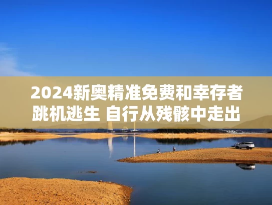 2024新奥精准免费和幸存者跳机逃生 自行从残骸中走出与幸存者逃生小游戏