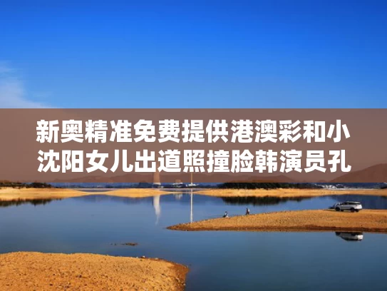 新奥精准免费提供港澳彩和小沈阳女儿出道照撞脸韩演员孔孝真与小沈阳老婆像孔孝真