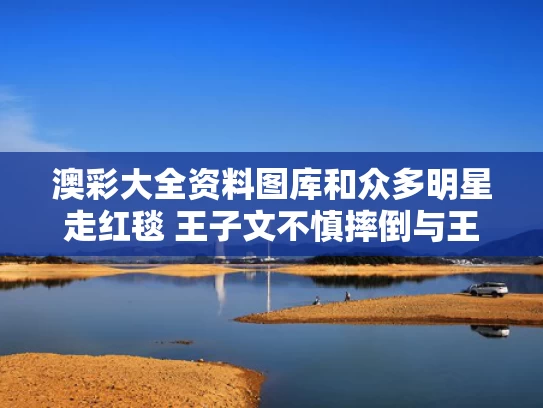 澳彩大全资料图库	和众多明星走红毯 王子文不慎摔倒与王子文走红毯视频