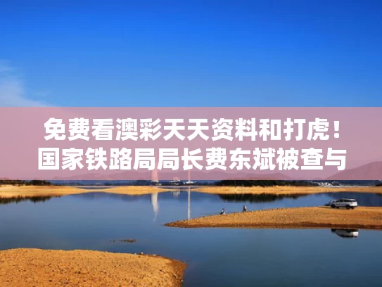 免费看澳彩天天资料	和打虎！国家铁路局局长费东斌被查与