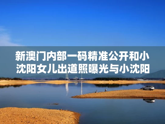 新澳门内部一码精准公开和小沈阳女儿出道照曝光与小沈阳女儿出道照曝光视频