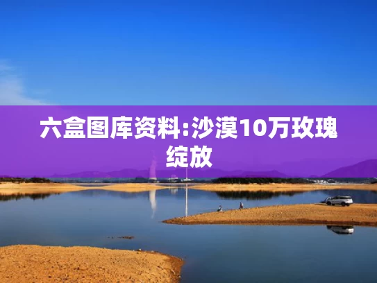 新澳今天开奖结果,马斯克：很多人不了解中国有多强