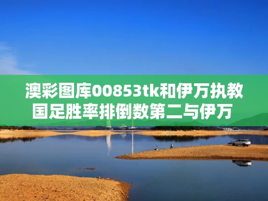 澳彩图库00853tk	和伊万执教国足胜率排倒数第二与伊万 足球