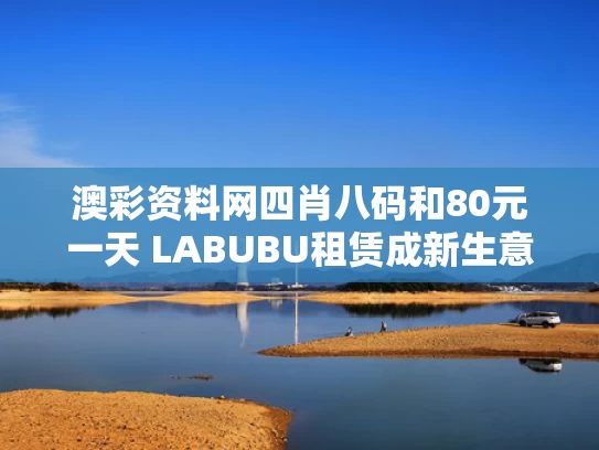 澳彩资料网四肖八码	和80元一天 LABUBU租赁成新生意与出租一天多少钱