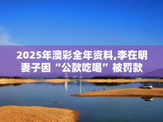 2025年澳彩全年资料,李在明妻子因“公款吃喝”被罚款