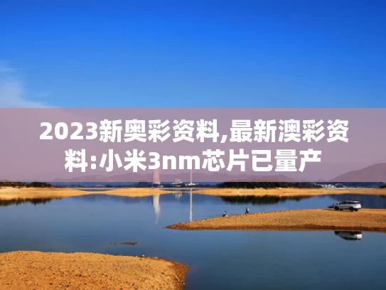 新澳2025年精准资料期期,存款利率0字头时代 钱放哪收益高