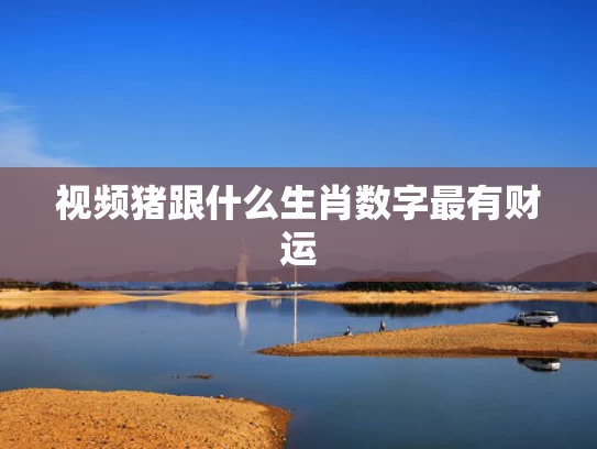 澳彩资料站最新版本更新内容,特朗普：哈佛很多学生连2 2都不会