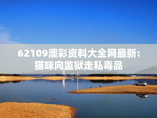 关于新奥精准免费理念的深度解析,小米YU7内饰曝光