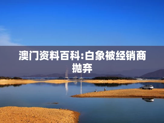 澳彩高手论坛免费精选资料	黄杨钿甜父亲涉违规经商办企业
